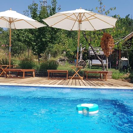 Къща За Гости Каза Роза - Swiss Style Chalet Casa Rosa Guest House Kjustendil Exterior foto