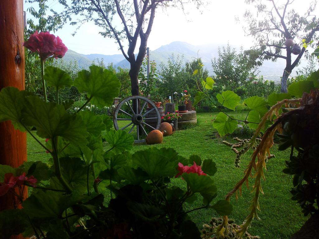 Къща За Гости Каза Роза - Swiss Style Chalet Casa Rosa Guest House Kjustendil Zimmer foto