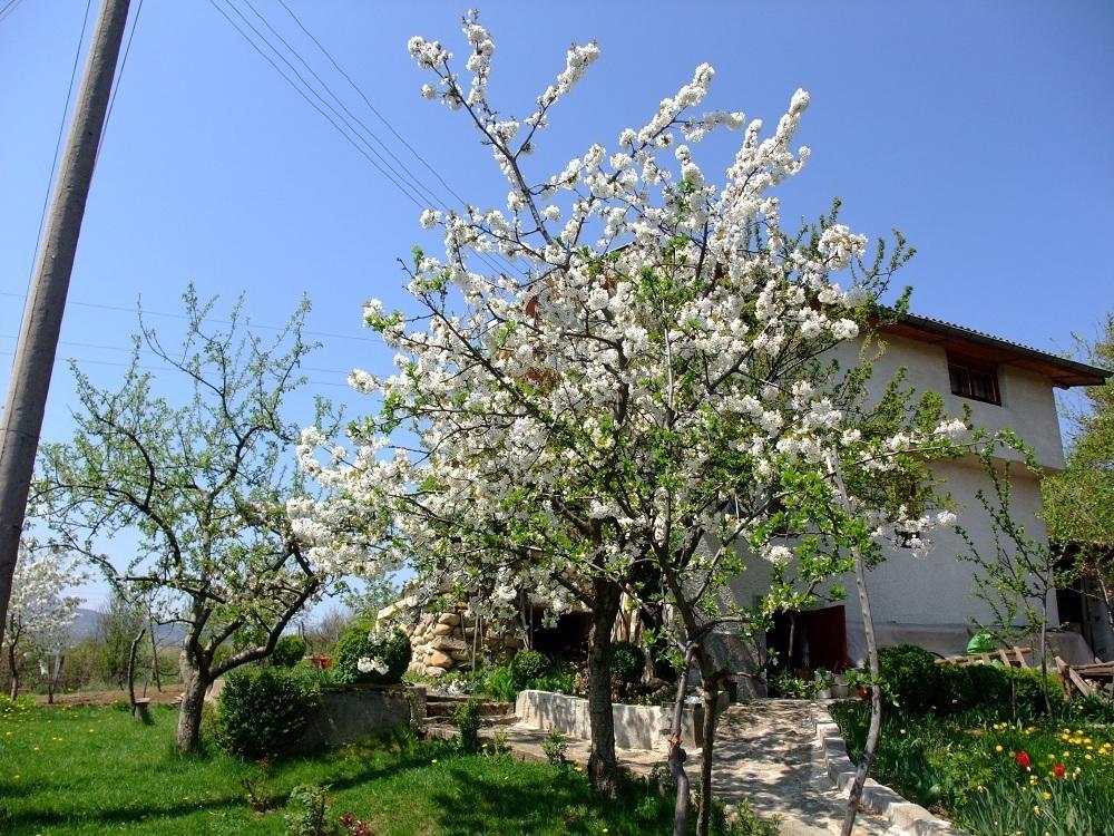 Къща За Гости Каза Роза - Swiss Style Chalet Casa Rosa Guest House Kjustendil Zimmer foto